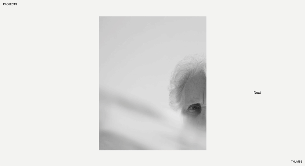 aliciadubuis.com